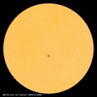 SDO/HMI Continuum Image of the Sun